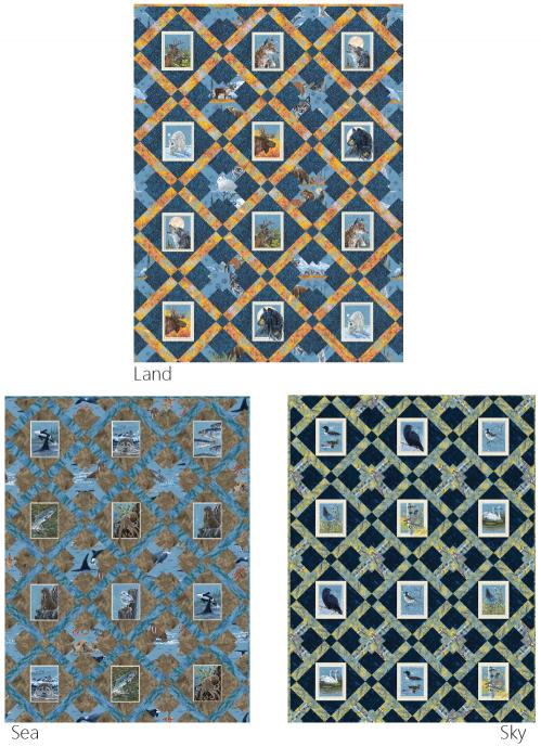 Framed Impressions by 